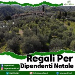 Regali Per Dipendenti Natale