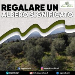 Regalare Un Albero Significato
