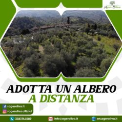 Adotta-Un-Albero-a-Distanza_11zon